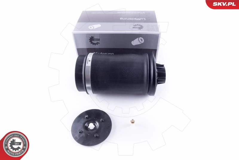 Air Spring, suspension